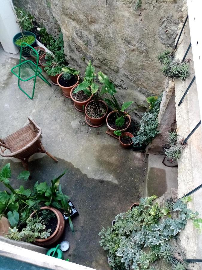 Casa Da Judiaria Velha Hotel Vişeu Exterior foto