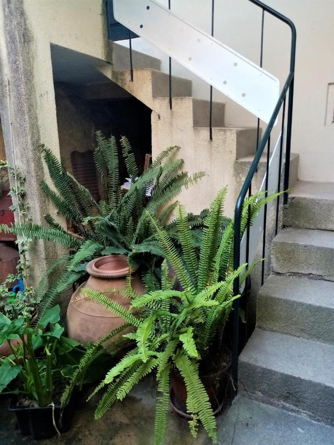 Casa Da Judiaria Velha Hotel Vişeu Exterior foto